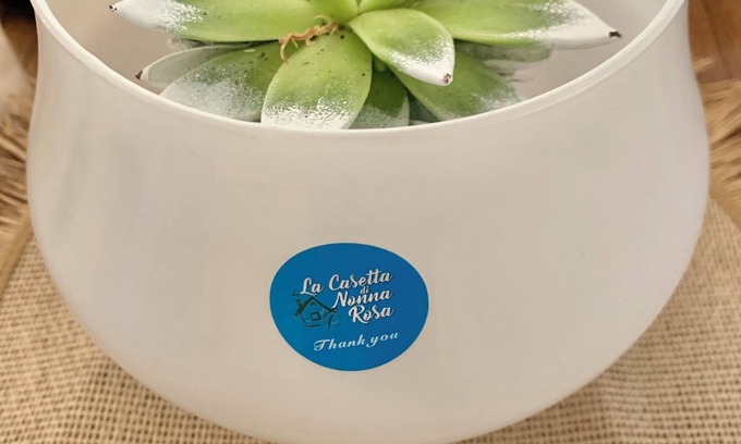 Municipio 4 House | Cozy Grandma Rosa's Little House - Perfect for Families and Pets
