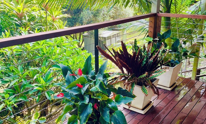 Tallai Apartment | Pet-Friendly Grandview Retreat with Pool & Kitchen Access