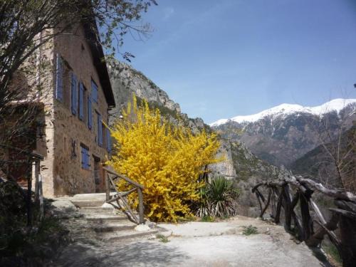 Roquebilliere House | Pet-Friendly Grange La Capretta with Ocean Views & Pool