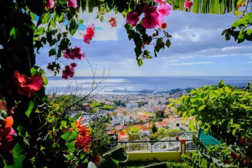 Imaculado Coracao de Maria House | Inviting Granny's House View: Family-Friendly Escape