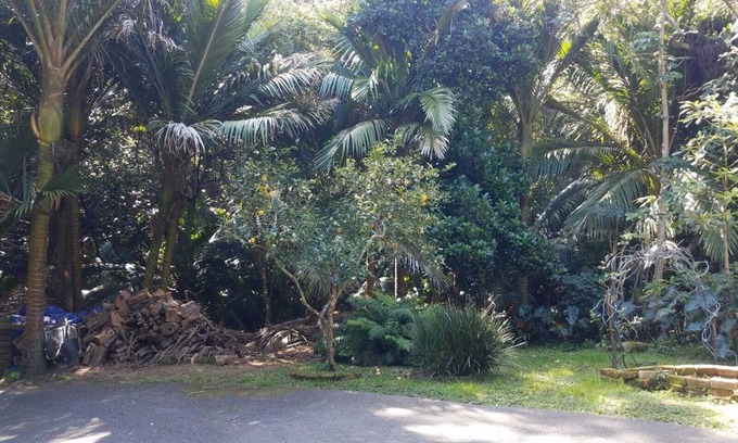 Tryphena Bed & Breakfast | Great Barrier Island Escape-Book a Room or whole House