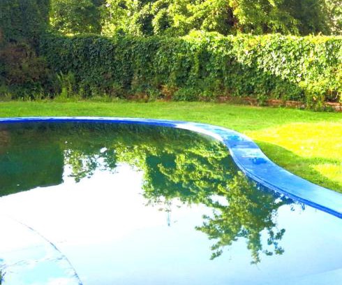 Bierini Resort | Welcoming Retreat with Pool, Breakfast & Pet-Friendly Perks