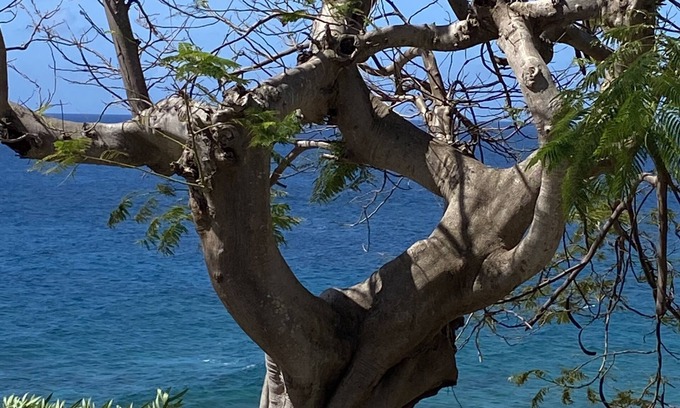 Bolongo Bay Condo | Idyllic Condo with Ocean Views, Two Pools & Beach Access