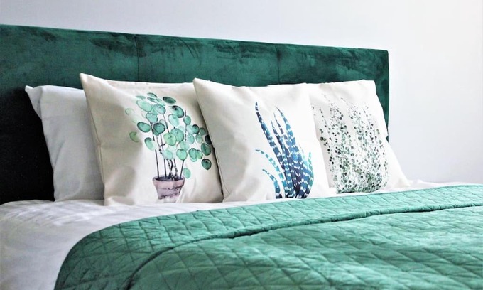 Anyksciai Apartment | Tranquil Retreat: Green Bed by the Pine Forest, Rated 9.5