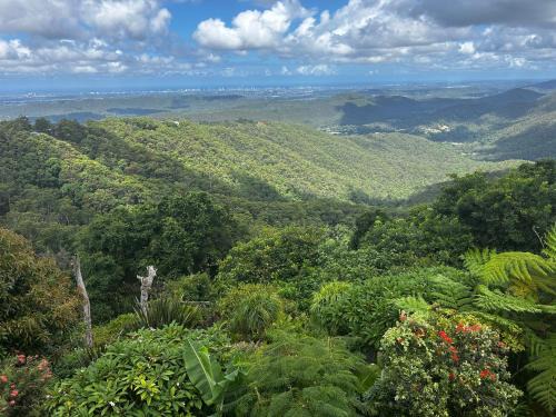 Mount Tamborine House | Top-Rated Ensuite Room with Scenic Views at Tamborine Mountain