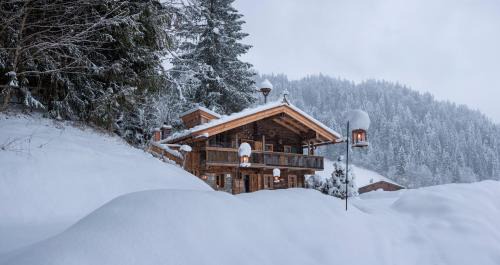 Reith bei Kitzbuehel House | Historic Green Chalet: Family-Friendly with Kitchen Amenities