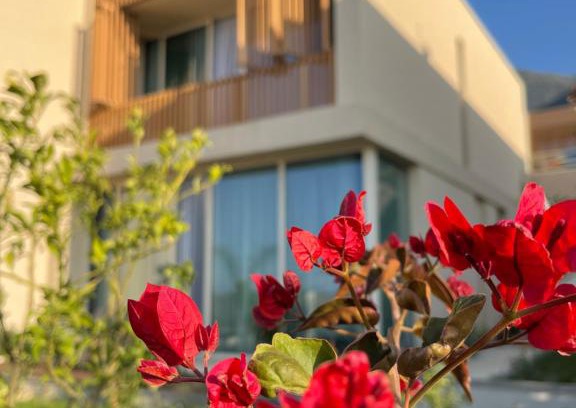 Jala House | Relax at Green Coast 136: Oceanfront Retreat with Spa