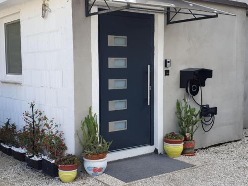 Mali Radic Apartment | Green Home