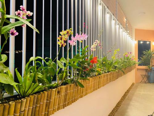 Tuy Hoa House | Guest Rated 10/10: Green Homestay with Oceanfront Views