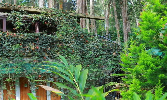 Moolakadai Bed & Breakfast | Idyllic Green Spaces Munnar: Family-Friendly Retreat