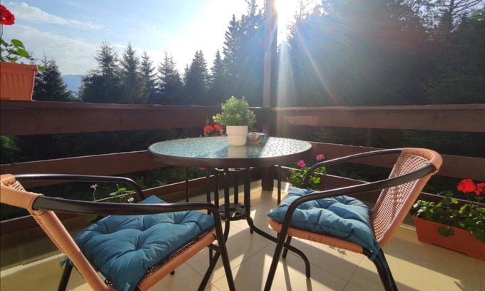 Cioplea Apartment | Pet-Friendly Green Studio with Outstanding 9.6/10 Rating