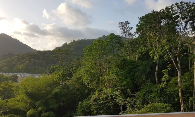 Arima Apartment | Convenient Greene Kairi Hotel Near Asa Wright Nature Centre