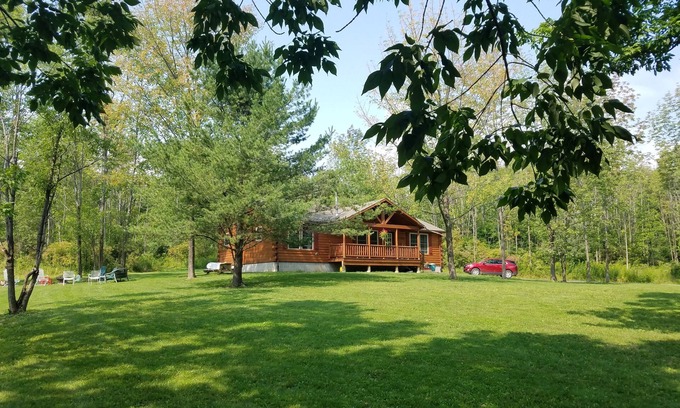 Branchport Cabin | Experience Tranquility at Grey's Getaway Cabin #3