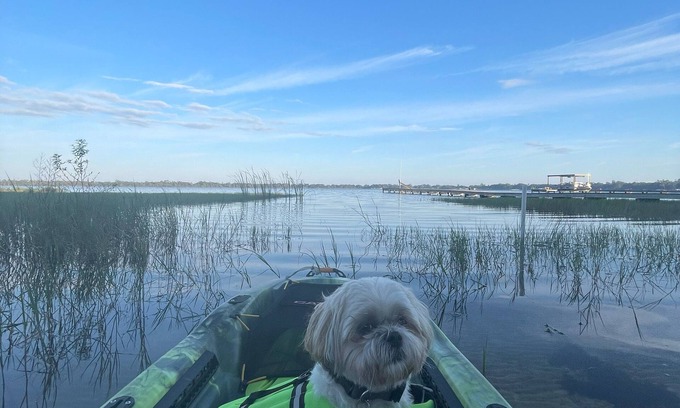 Avon Park Cottage | Grumpy Old Cabin! Dog Friendly Lake House with Kayaks! Close to GOLF!