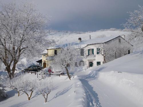 Capracotta House | Pet-Friendly Getaway at Guado Cannavina - Guest Rated 8/10