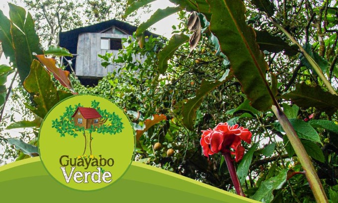 Pacto Other | Discover Guayabo Verde: Family-Friendly Retreat with Dining