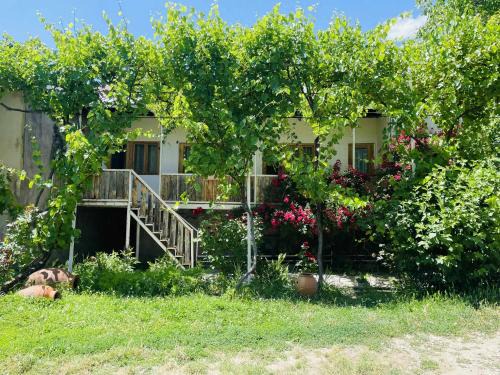 T'ba House | Budget-Friendly Guest House Aleksandre - Rated 9.5/10!