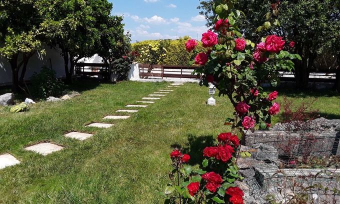 Alcobaca Bed & Breakfast | Inviting Guest House & Breakfast in Nazaré - 9.8 Rated Stay