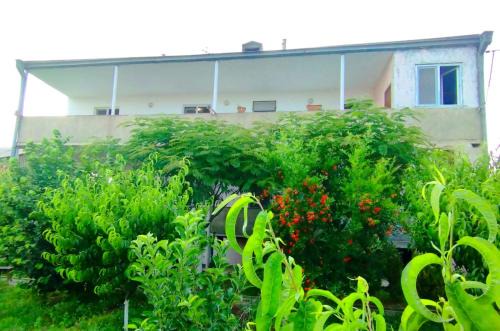 Geghanist House | Pet-Friendly Guest House Ed&Er with Hot Tub Awaits You