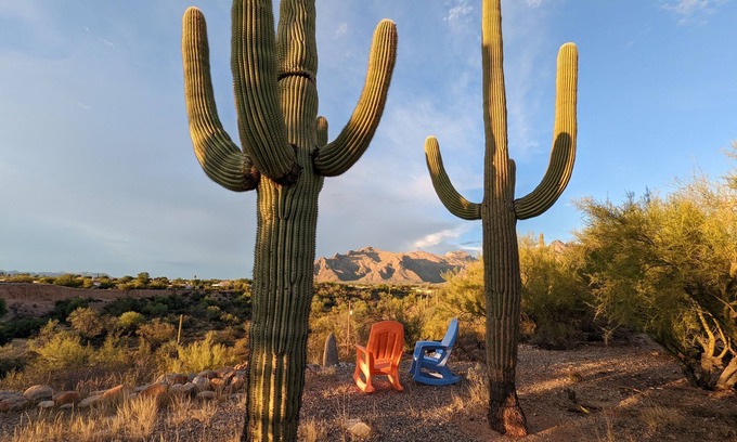 Casas Adobes House | Cozy Guest House with Pet-Friendly Amenities & High Review Score