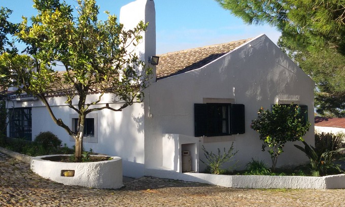 Sao Lourenco Cottage | Serene Guest House in Azeitao with Ocean Views & Pool