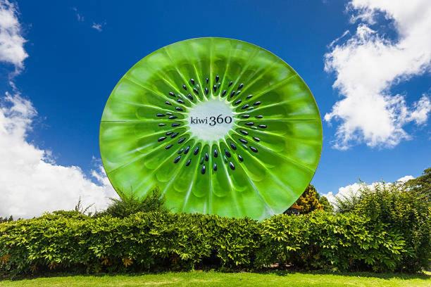 Te Puke House | Family-Friendly Guest House in Tepuke with Kitchen Access