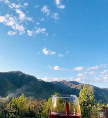 Adjara House | Perfectly Located Guest House in the Mountains - 10/10 Rated