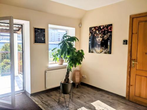 Panevezys House | Guest House Kamara
