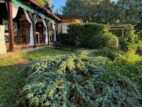 Radatovici House | Oceanfront Guest House Lagotto's Peak with Pool & Breakfast