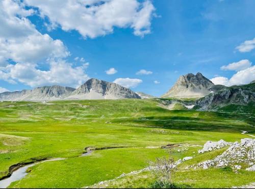 Niksic Municipality House | Top-Rated Guest House Lena Lukavica for Families and Pets