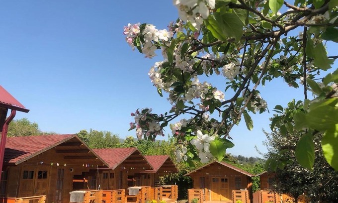 Tsandripsh House | Ocean View Retreat at Guest House Lev - Rated 9/10