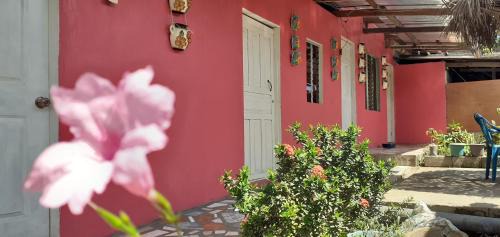Moyogalpa House | Pet-Friendly Guest House Nena with Spa & Breakfast Included