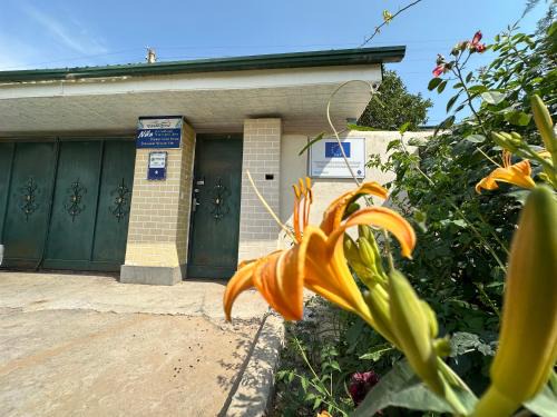Nukus House | Pet-Friendly Guest House "NIKA" in Nukus - Rated 9.1/10