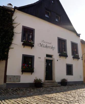Cesky Krumlov House | Discover Guest House Olšakovský: Pet-Friendly Oceanfront Retreat