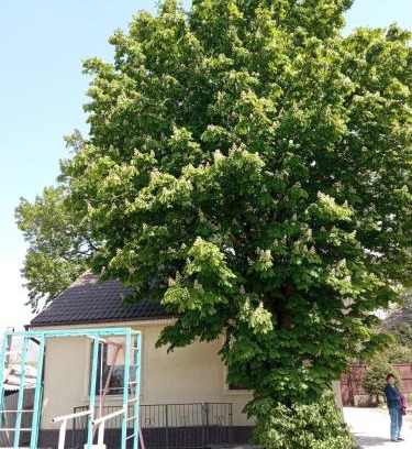 Chuy Province House | Cozy Guest House Prohladnoe: Family-Friendly Retreat