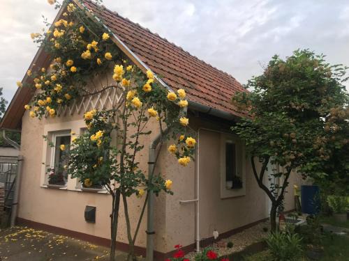 Egerszalok House | Inviting Guest House Rózsakert: Pet-Friendly & Accessible Stay