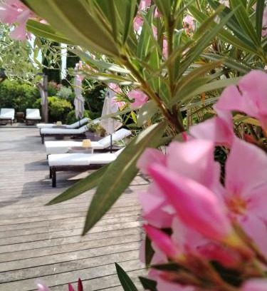 Cotignac Bed & Breakfast | Impressive Guesthouse Le Mas de Cotignac with Ocean View