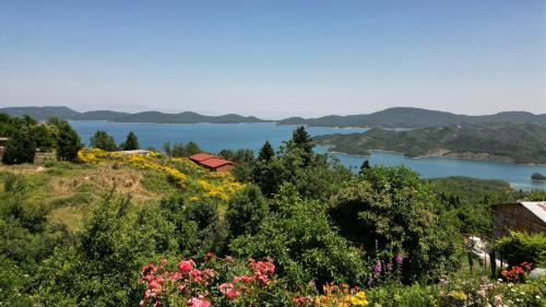 Lake Plastiras House | Family-Friendly Stay at Guesthouse Mitsiopoulou - Rated 9.4