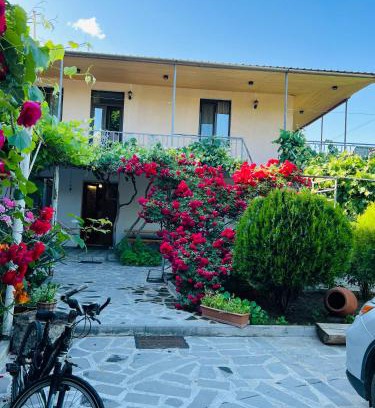 T'ba House | Pet-Friendly Guesthouse Mtkvari with Top-Rated Amenities