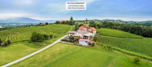 Ptuj Bed & Breakfast | Family-Friendly Guesthouse Prenočišča Širec with Great Reviews