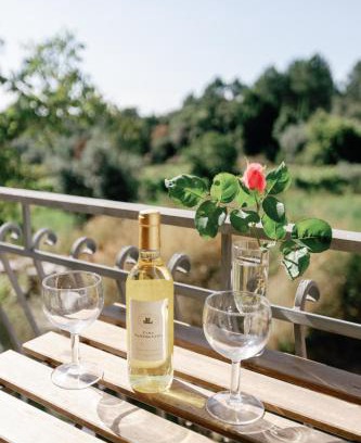 Figueiro dos Vinhos House | Timeless Elegance with Child-Friendly Amenities Await