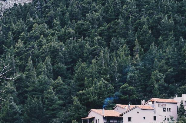 Steni House | Highly Rated Guesthouse Vasiliki with Breakfast & Restaurant