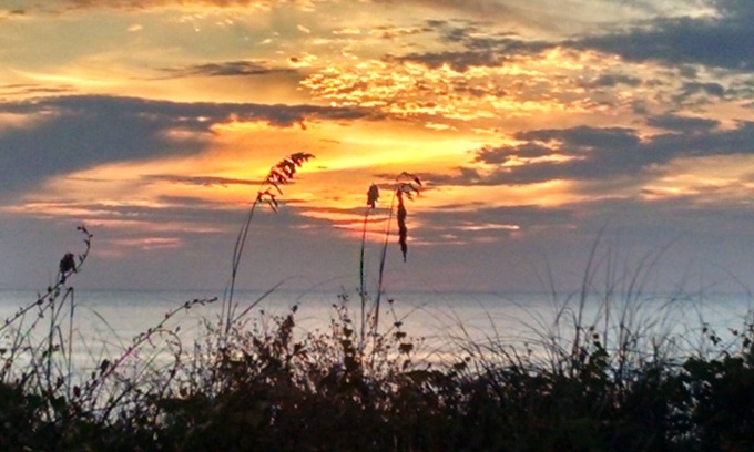 Port St. Joe House | Beachfront Townhome with Views, Pet Friendly & Pool Access
