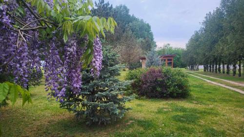 Asotthalom House | Discover Gyömbér Tanya: 4-Star Stay with Hot Tub & Pets