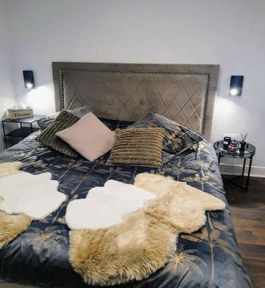 Saint-Etienne Apartment | Pet Friendly 4-Star Apartments in Saint-Étienne, France