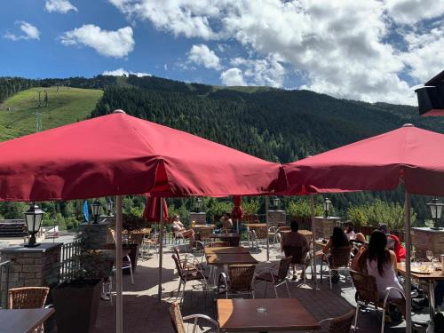 Soldeu Hotel | Cozy Hôtel Bruxelles: Oceanfront with Pet-Friendly Amenities