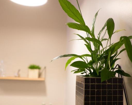 Villeneuve-Saint-Georges Hotel | Pet-Friendly Hôtel De La Gare: Ideal for Families and Travelers