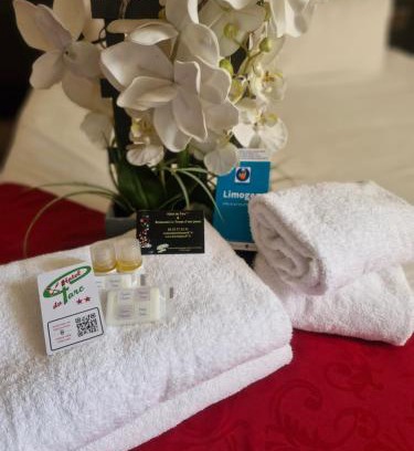 Limoges Hotel | Discover Hôtel du Parc Limoges & Restaurant for Family Stays