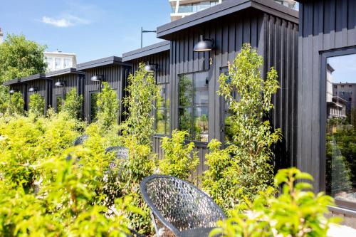 Downtown Le Havre Hotel | Discover Hôtel Lilybloom: Pet Friendly & Family Oriented