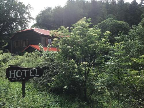 Bourbach-le-Haut Hotel | Family-Friendly Hôtel Restaurant La Fourmi with Great Amenities